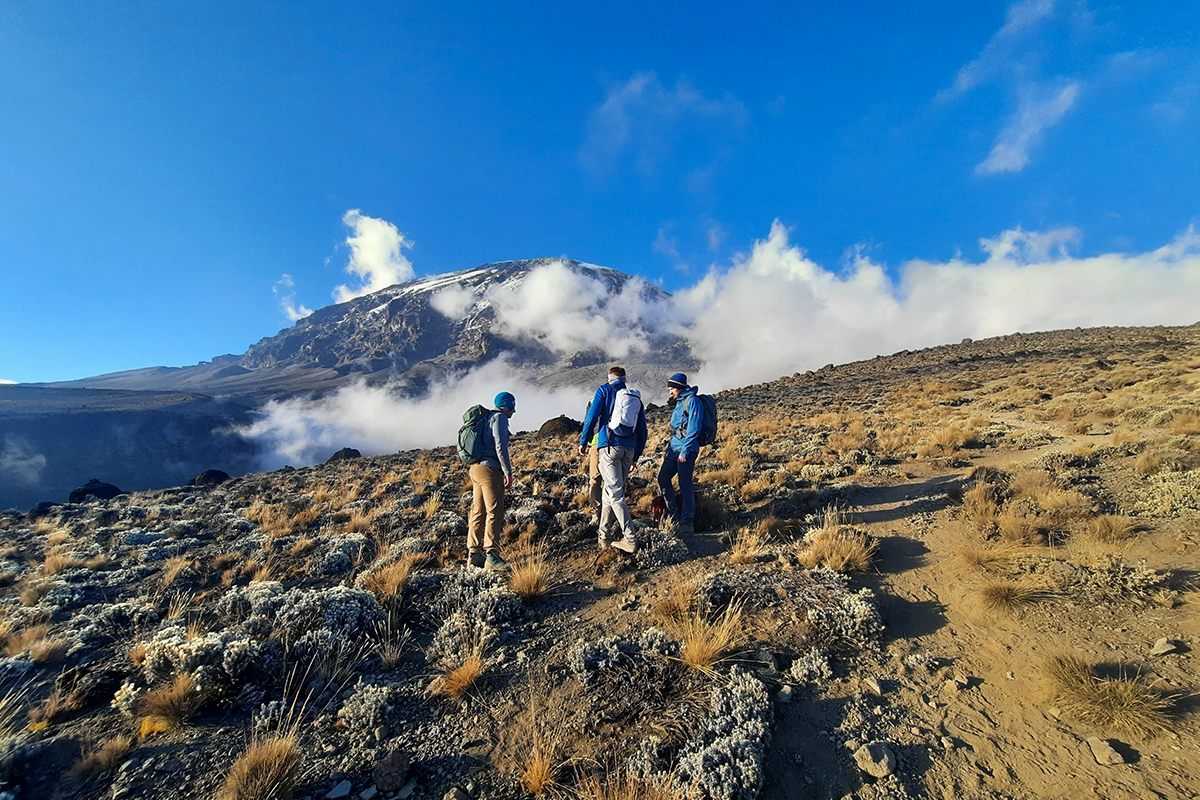Climbers on the way to the Summit of Kilimanjaro